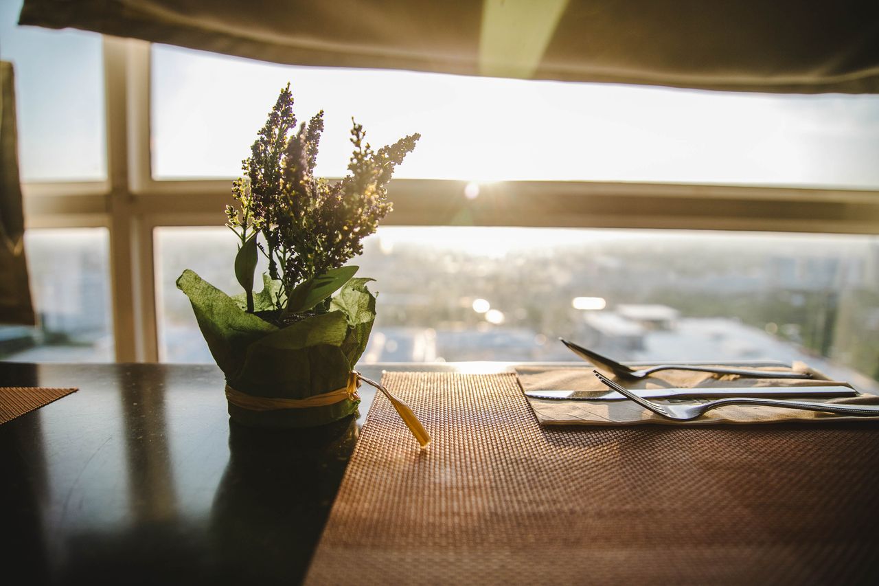 Elegant table setting with a plant centerpiece and sunset view, perfect for intimate dining.